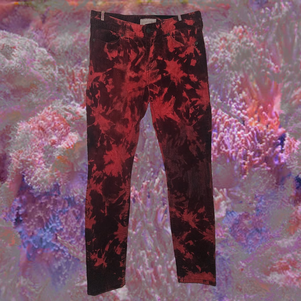 Image of pants (purplish/red)
