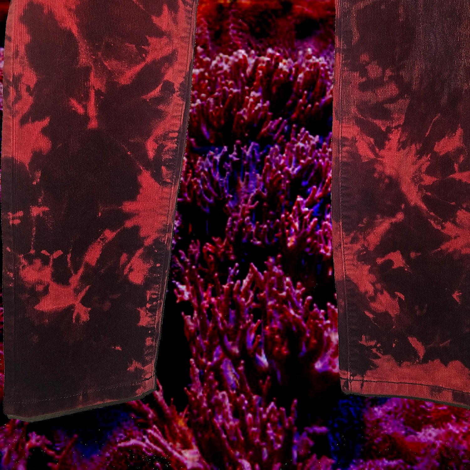 Image of pants (purplish/red)