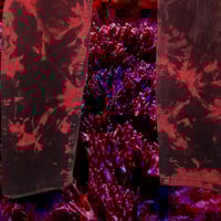 Image 5 of pants (purplish/red)