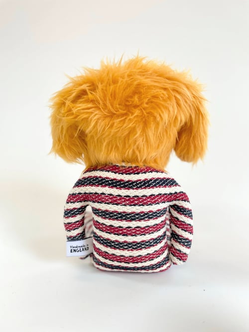 Image of Dobby dog