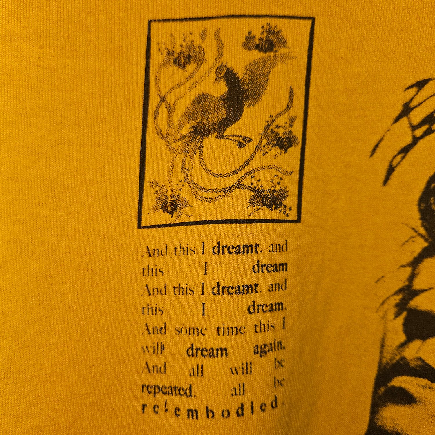 Image of you will dream everything i have seen in dream (med yello)