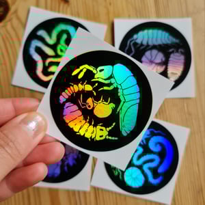 Soil animals holografic stickers
