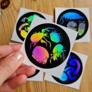 Soil animals holografic stickers