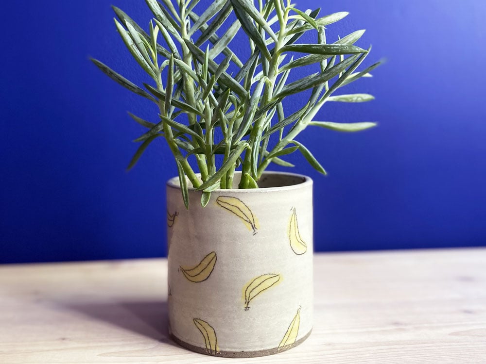 Image of PFLANZEN-ÜBERTOPF Banane