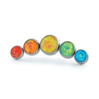 Image 1 of Pride Clusters