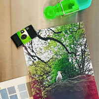 Image 2 of disposable camera magnet