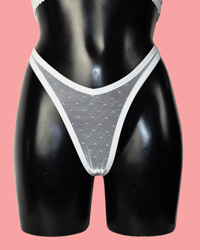 Image 1 of The VENUS thong in pin dot mesh