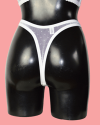 Image 3 of The VENUS thong in pin dot mesh