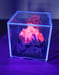 Image of "KI²" - Original CUBE painting #009