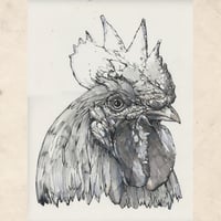 Image 2 of Matt's Nemesis