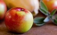 Apple Sage 