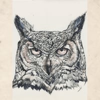 Image 2 of Eagle Owl