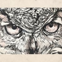 Image 3 of Eagle Owl