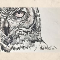 Image 4 of Eagle Owl