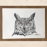Image 5 of Eagle Owl