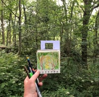 Image 16 of Framing Nature ONLINE