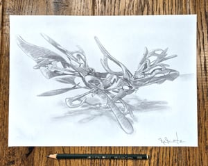 Image of Replete Seek prime version