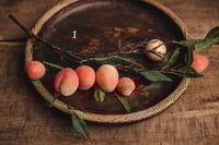 Image 1 of Various interesting plants