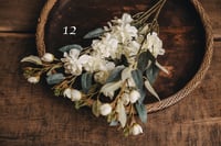 Image 12 of Various interesting plants