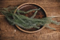 Image 9 of Various interesting plants