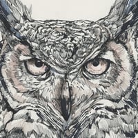 Image 1 of Eagle Owl