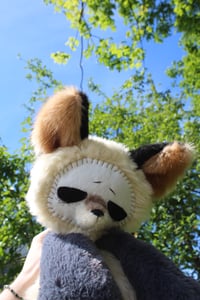 Image 2 of GRUMPY FOX 🦊💢