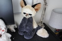 Image 6 of GRUMPY FOX 🦊💢