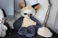Image 7 of GRUMPY FOX 🦊💢