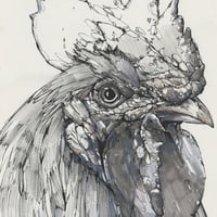 Image 1 of Matt's Nemesis