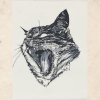 Image 3 of Cat GeePeeTee