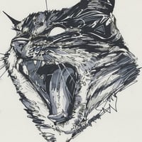 Image 1 of Cat GeePeeTee