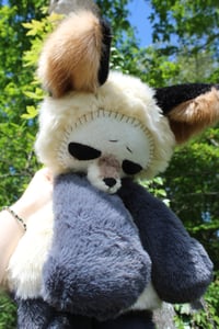 Image 8 of GRUMPY FOX 🦊💢