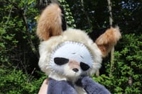 Image 9 of GRUMPY FOX 🦊💢