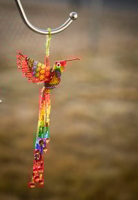 Image 8 of Jalisco Hummingbird 