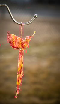 Image 9 of Jalisco Hummingbird 