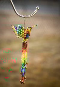 Image 6 of Jalisco Hummingbird 