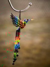 Image 1 of Jalisco Hummingbird 