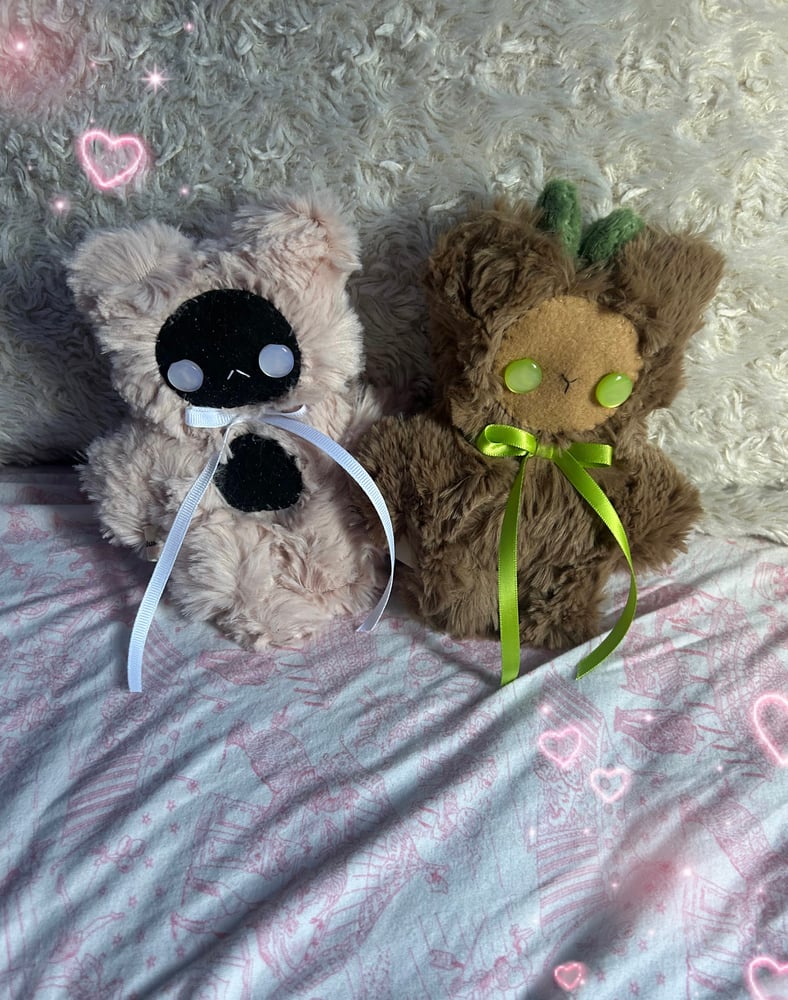 Image of Mauve the kitten and fernpaw the bear!