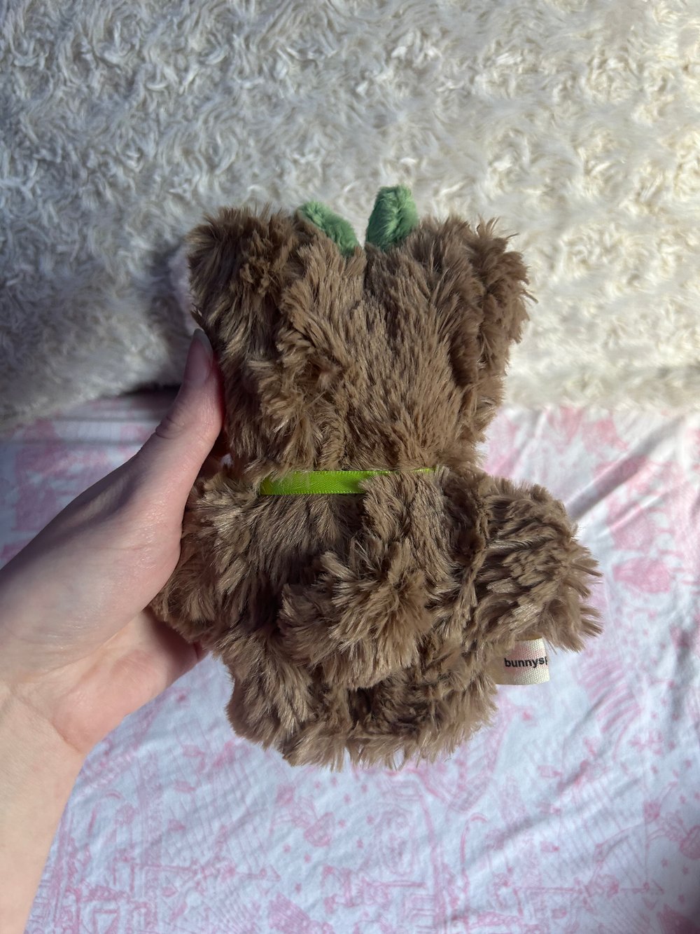 Image of Mauve the kitten and fernpaw the bear!