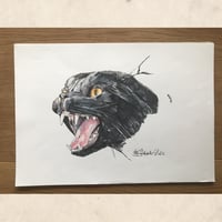 Image 5 of Walk Like a Panther