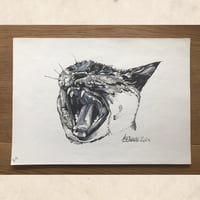 Image 5 of Yelling Soprano