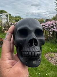 Image 3 of Shungite Crystal Skull