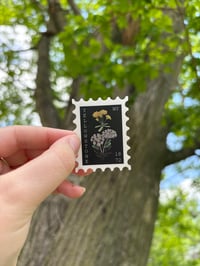 Image 1 of Yellowstone Sticker