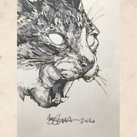 Image 5 of Blep Duke