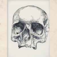 Image 3 of Duggery Deluxe