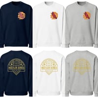 DLRS Hustler Series Unisex organic oversized sweatshirt
