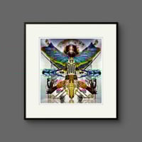 Image 4 of 'Free of the Chrysalis'