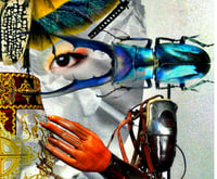 Image 5 of 'Free of the Chrysalis'