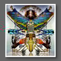 Image 2 of 'Free of the Chrysalis'