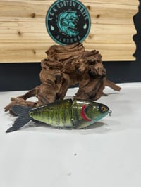 Image 3 of JC Glide Baits V- Notch    Bluegill    V5